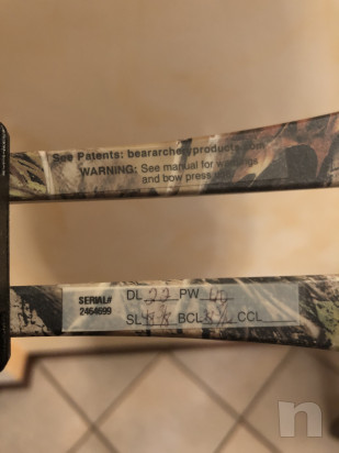 Arco compound bear apprentice  foto-31598