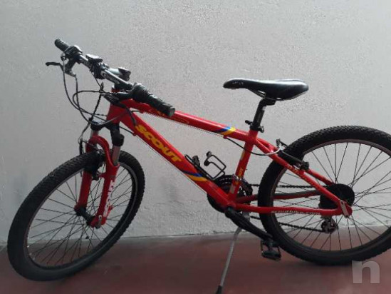 Mountain bike scout taglia 24 foto-31639