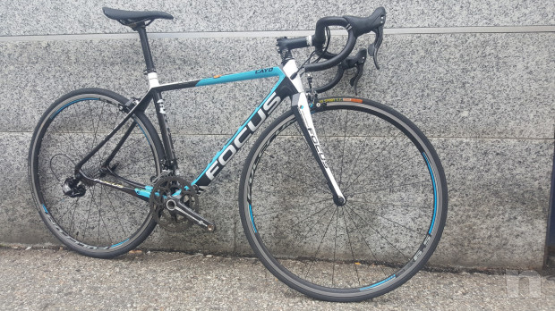 Focus Cayo Ag2R foto-16666