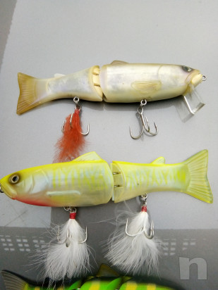 Swimmer luccio & bass foto-32084