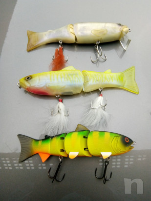 Swimmer luccio & bass foto-32083