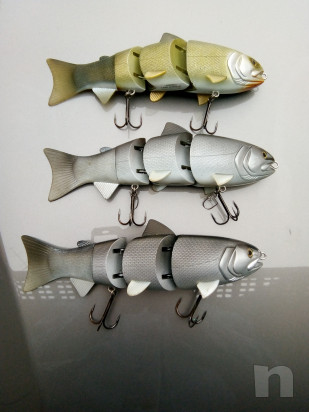 Swimmer luccio & bass foto-32085