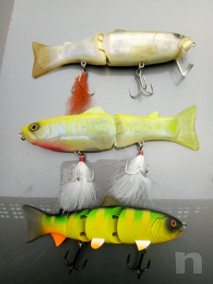 Swimmer luccio & bass foto-32086