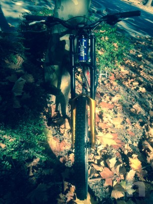 Occasione down hill  appena riverniciata  foto-2738