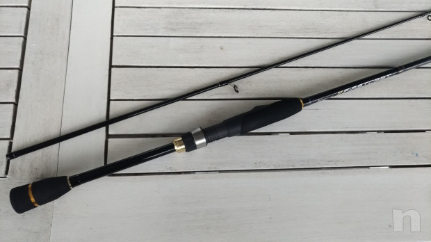 Canna light spinning foto-32755