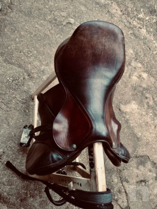 Sella equipe evolution foto-32922