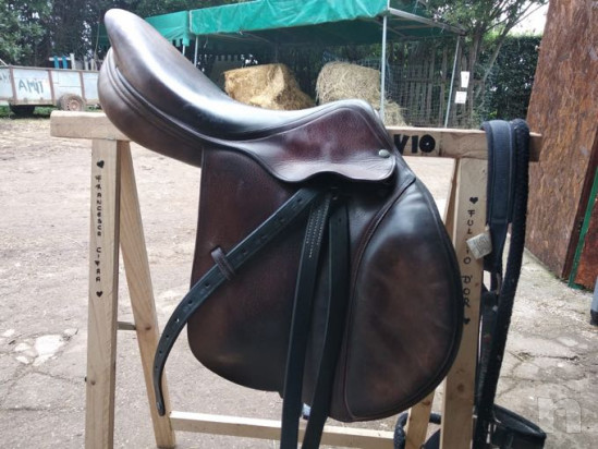 Sella equipe evolution foto-32923