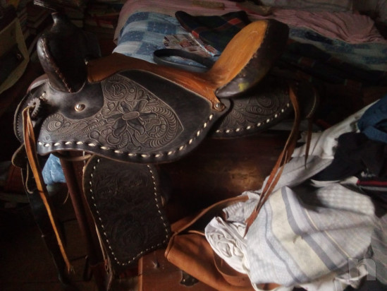 Vendo attrezzatura per andare a cavallo causa in utilizzo  foto-17265