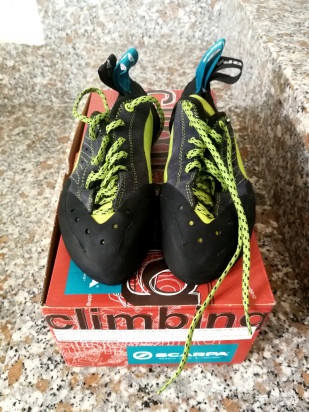 Scapa maestro 36 foto-17413