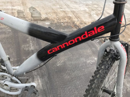 Bicicletta foto-33393