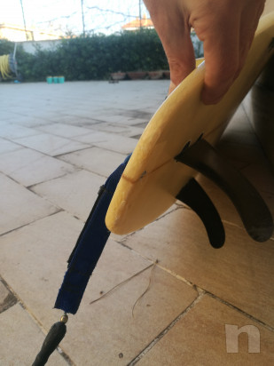 Tavola da surf Mark phipps  foto-33420