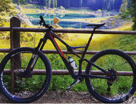 Specialized Stumpjumper FSR Expert Carbon 27 Taglia L foto-17512