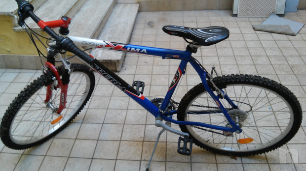 Bicicletta Mountain bike foto-17517