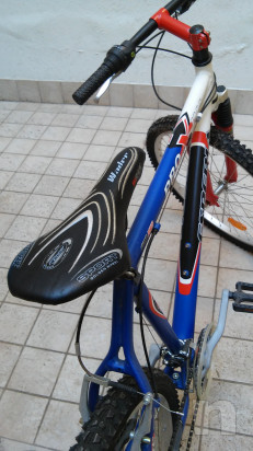 Bicicletta Mountain bike foto-33498