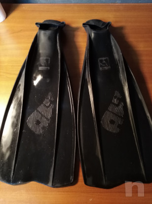 Pinne da sub foto-17545