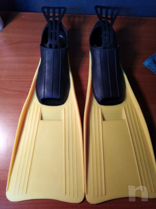 Pinne da sub foto-17546