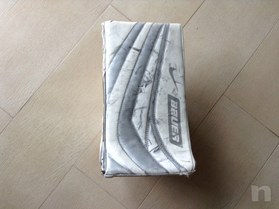 pinza, scudo portiere hockey foto-33735