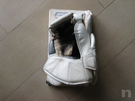 pinza, scudo portiere hockey foto-33736