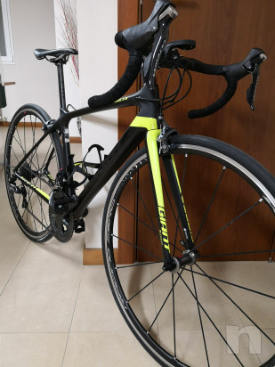 Vendo giant tcr advanced pro foto-33803