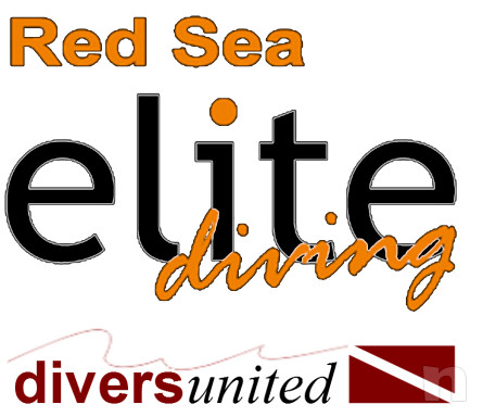 OFFRO CORSI SUBACQUEI PADI A SHARM EL SHEIKH (EGITTO) foto-17631