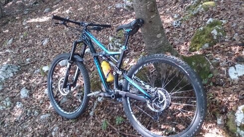 Vendo enduro 29 specialaized  foto-1766