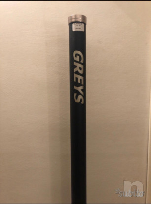 canna greys foto-34038