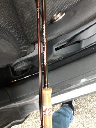 canna greys foto-34037