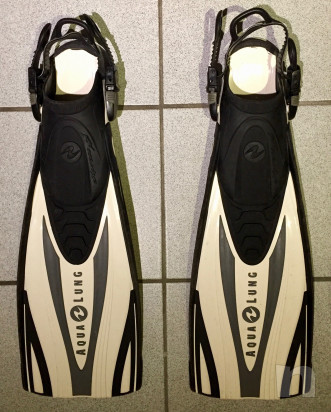 Pinne per sub  foto-17940