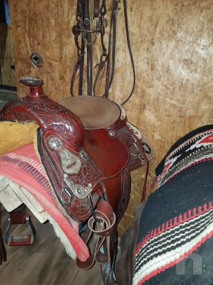 Sella Western foto-34490