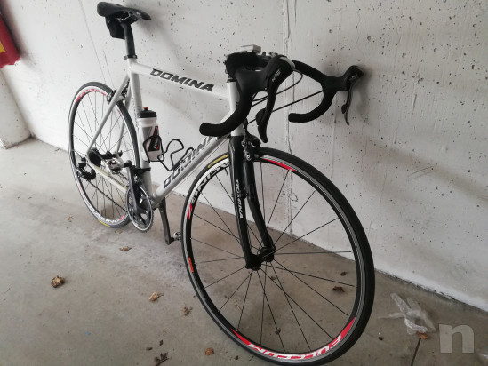 Bici da corsa Domina foto-34700