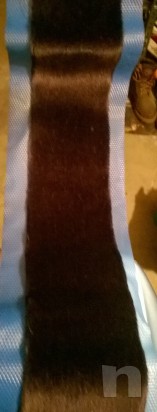 sci alpinismo con pelli foto-2949