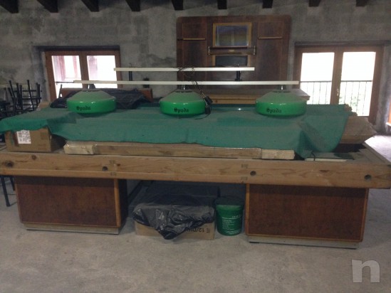 BELLISSIMO BILIARDO MARI foto-1810