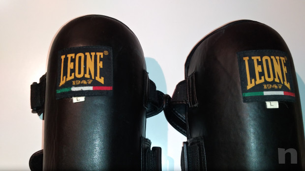 Paratibie leone k1 foto-34841