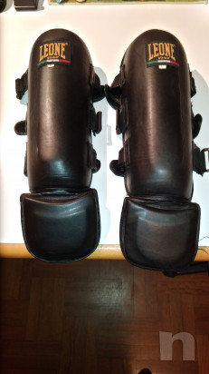 Paratibie leone k1 foto-18125