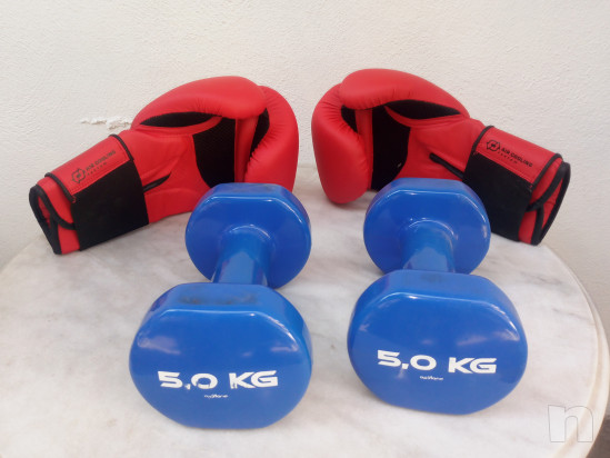 sacco,guantoni,panca,pesi foto-34968