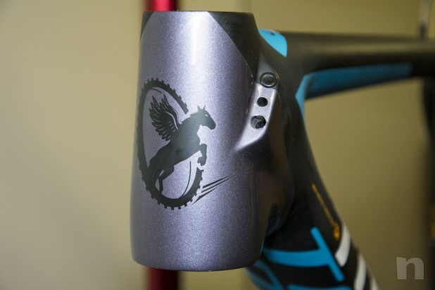 Telaio Torpado Ribot 2015 29 pollici foto-2998