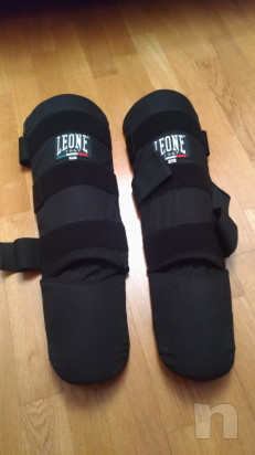 Paratibie Leone foto-18280