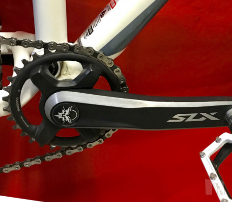 Mtb biamortizzata monocorona foto-35251