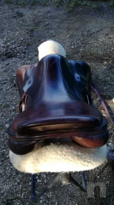 Sella da salto foto-18321