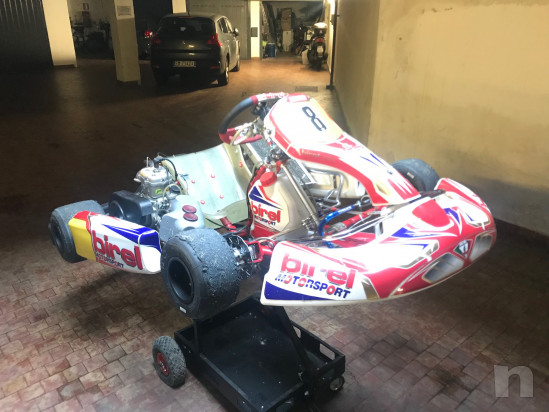 Kart Birel, motore Rok nuovo foto-18398