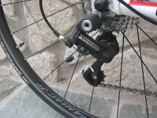 Bici da corsa cambio Campagnolo foto-35608