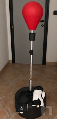 Pungibull foto-18499