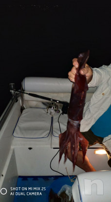 Mulinelli elettrici artigianali brevettati foto-35684