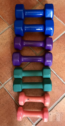 Manubri da palestra  foto-18592