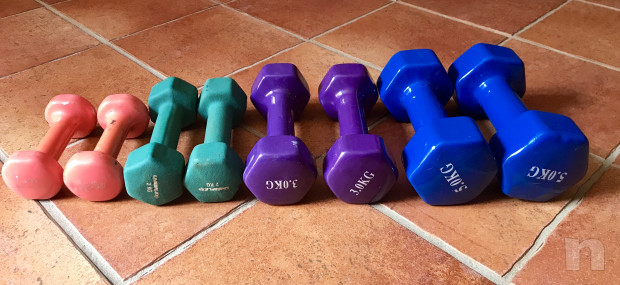 Manubri da palestra  foto-35854