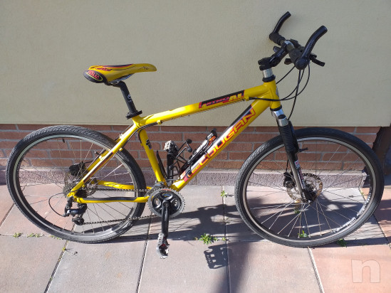 MTB Lee Cougan Nitro in alluminio.  foto-18680