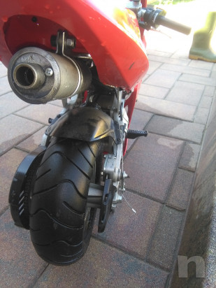 Minimoto polini foto-18783