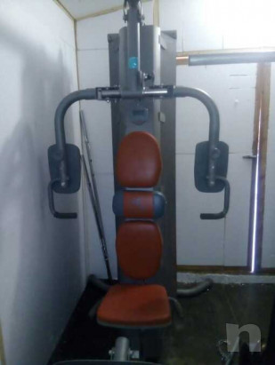 Palesta domyos foto-36715