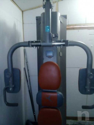 Palesta domyos foto-36713