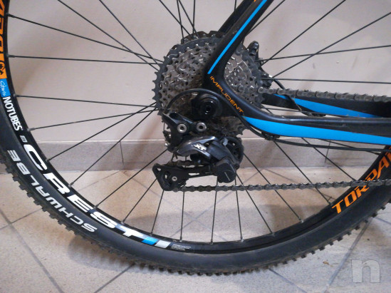 MTB Torpado Levizir carbon foto-36882